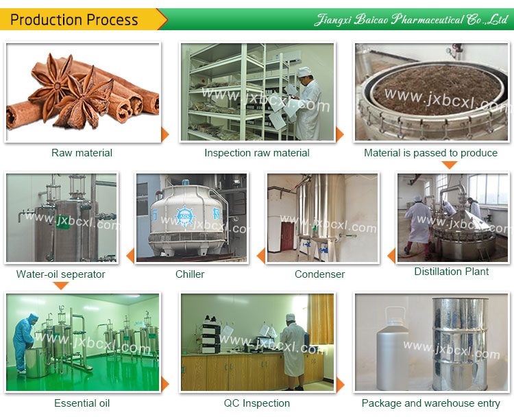 Organic Oils Wholesale industry insight