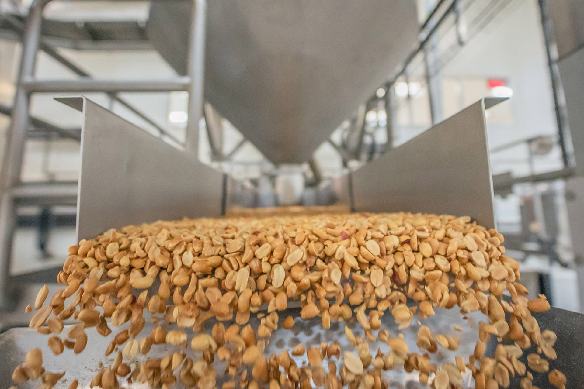 Organic Peanuts Bulk industry insight