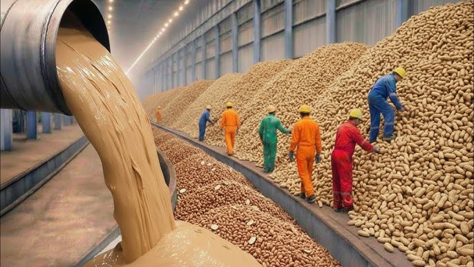Organic Peanuts Bulk industry insight