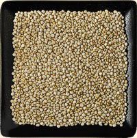 Organic Quinoa