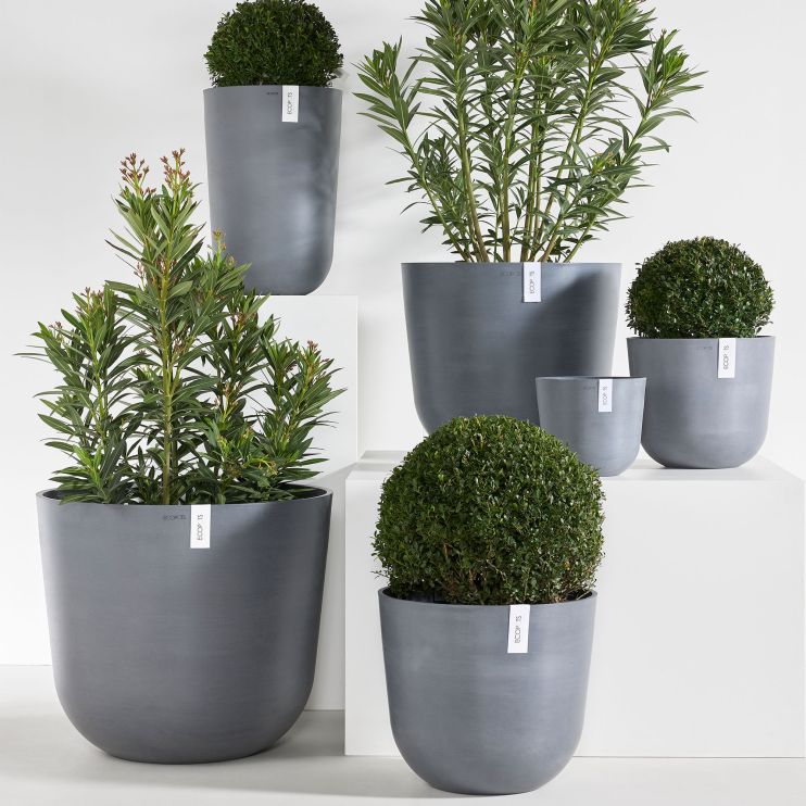 Outdoor Planters