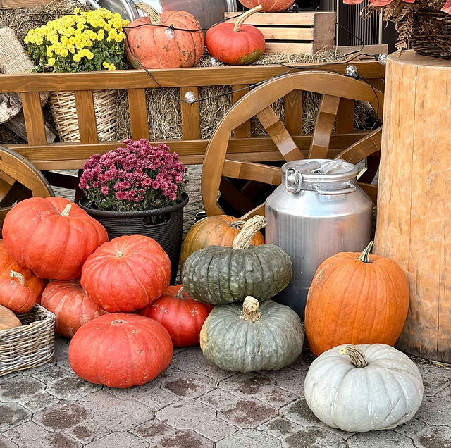 Over 280 Pumpkin Seed varieties to choose from!