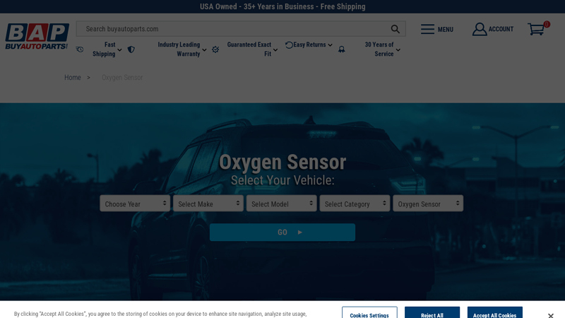 Oxygen Sensor