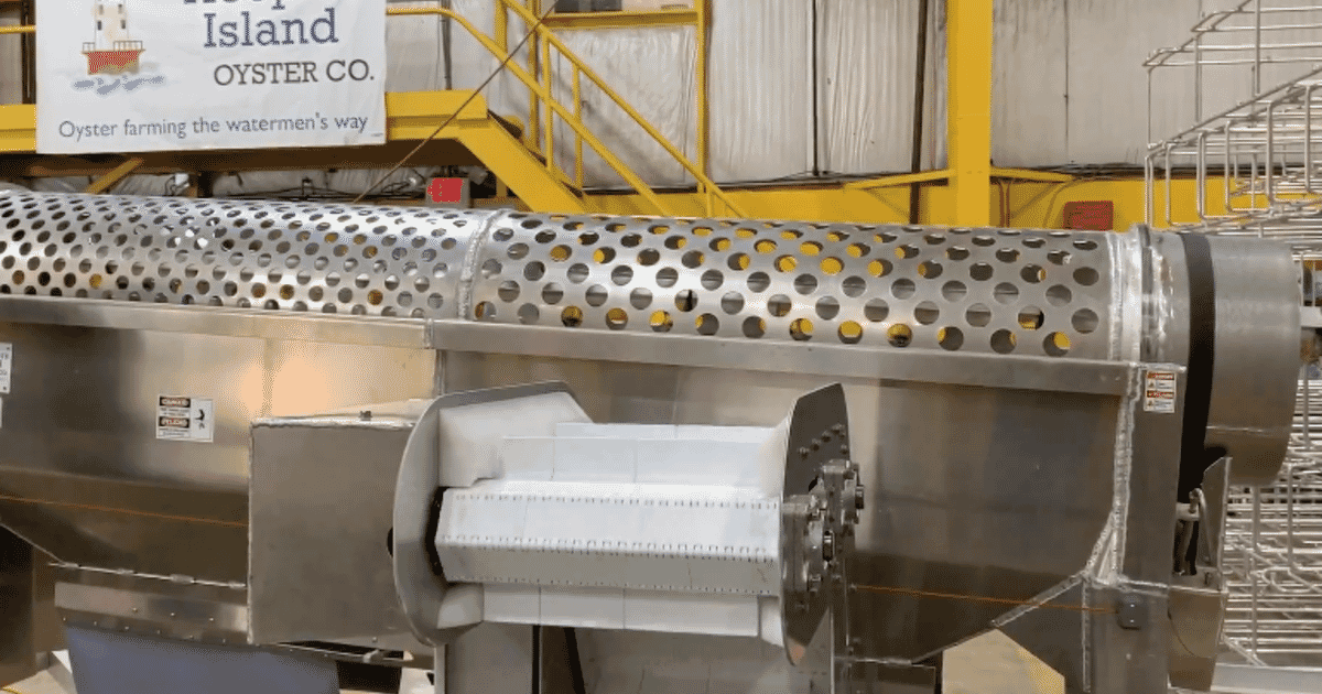 Oyster Pail industry insight