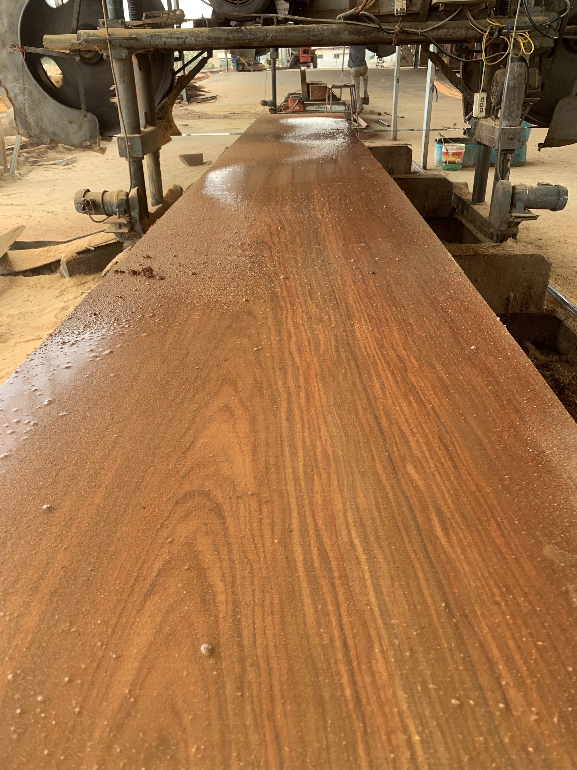 Paduk Wood industry insight