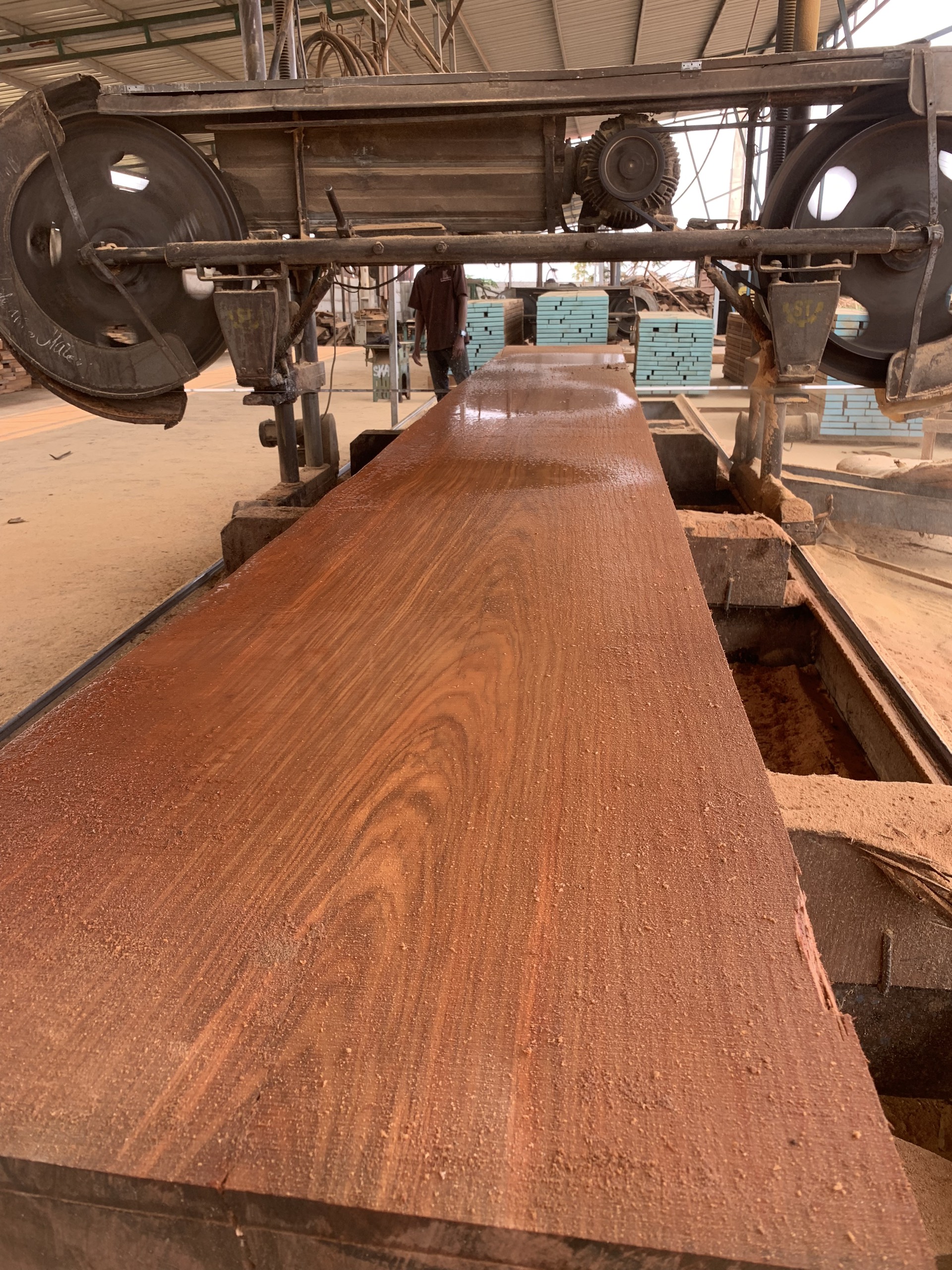 Paduk Wood industry insight