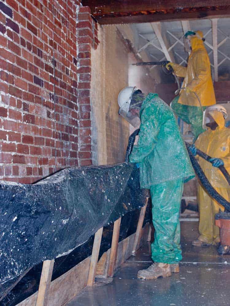 Paint Stripper For Walls industry insight