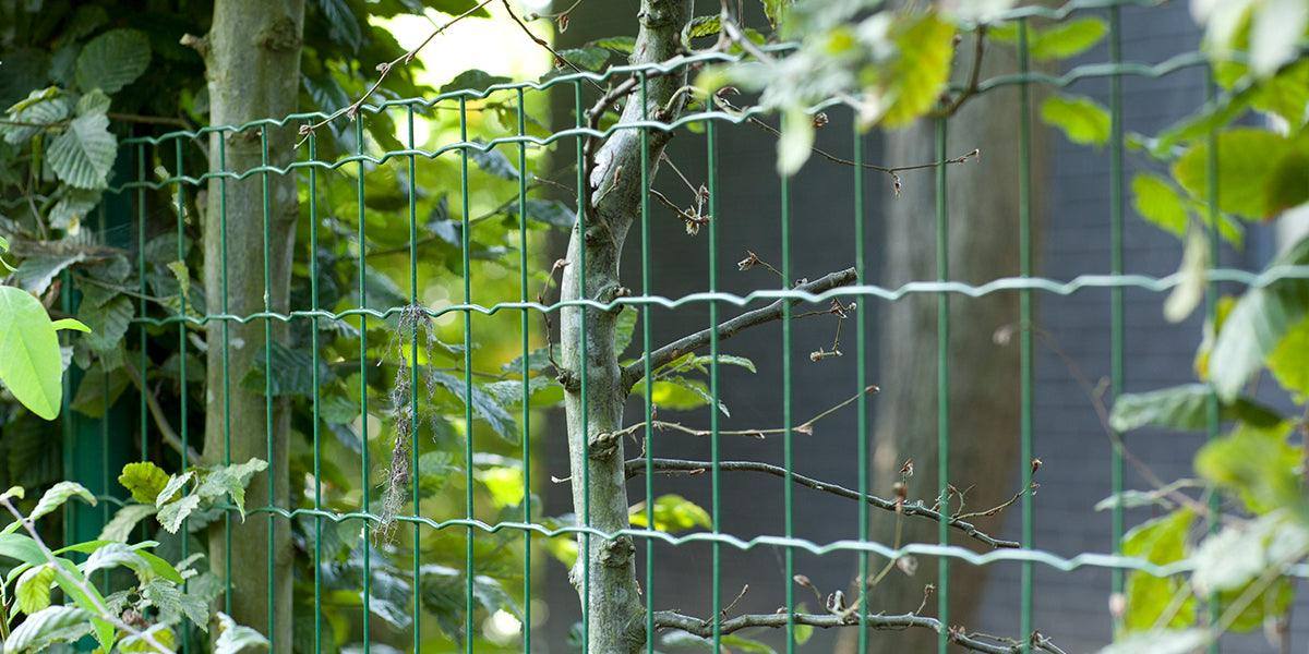 Pantanet Welded Wire Steel Fence Rolls