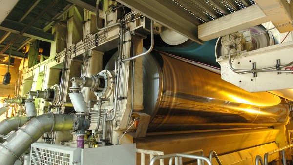 Papel Para Piso industry insight