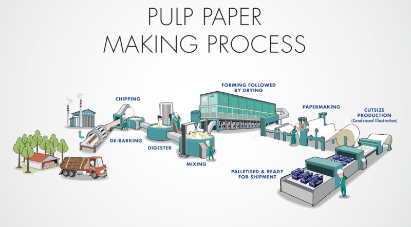 Paper And Packaging Companies industry insight