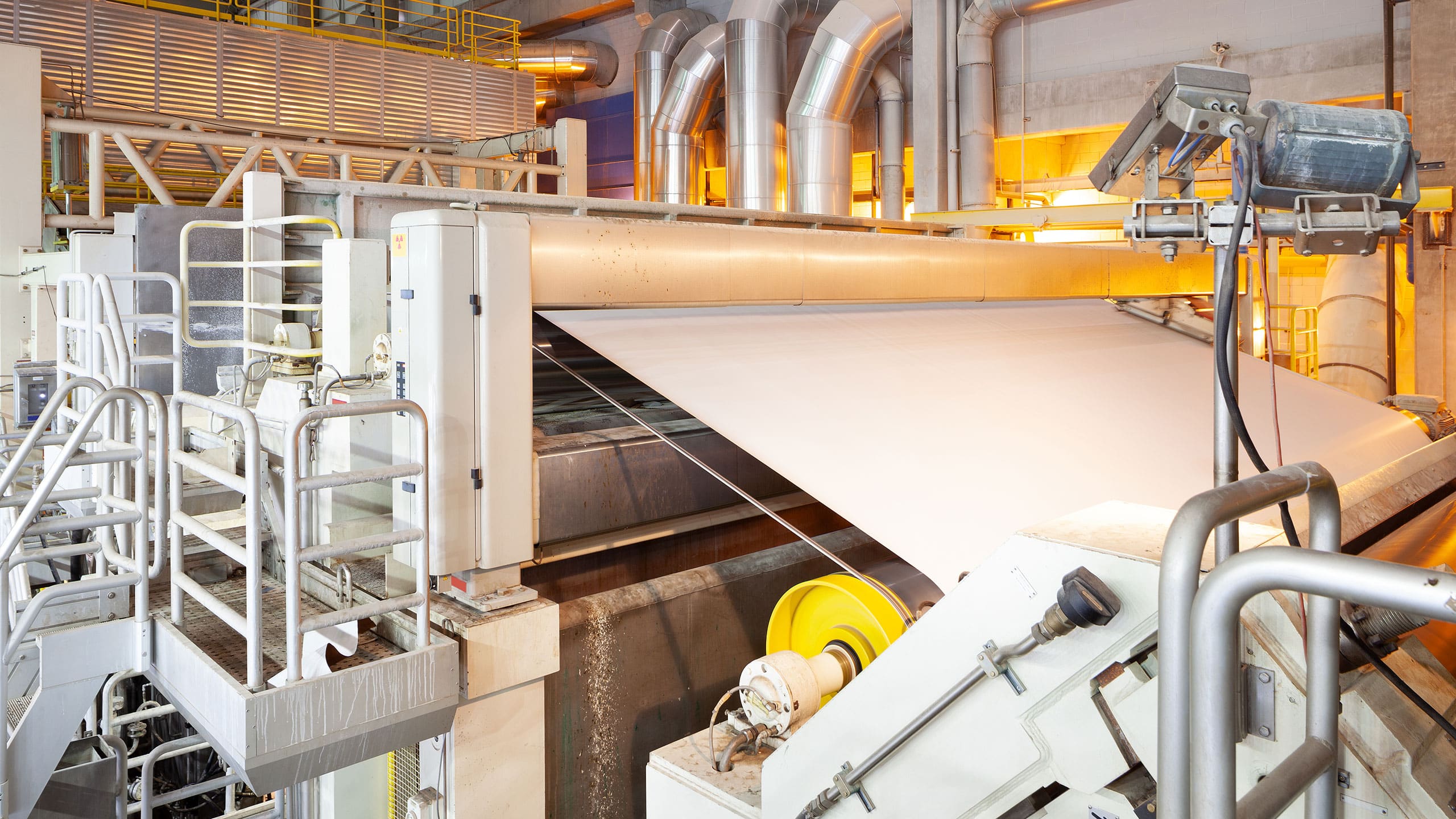 Paper And Packaging Companies industry insight