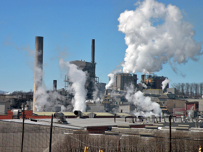 Paper Mills In North Carolina industry insight