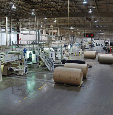 Paper Products Wholesale industry insight