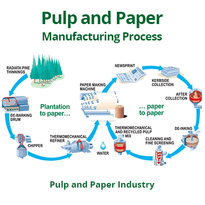 Paper Products Wholesale industry insight