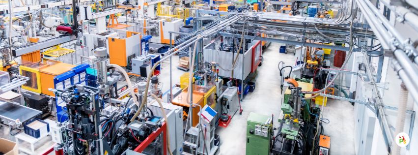 Party Wholesale industry insight