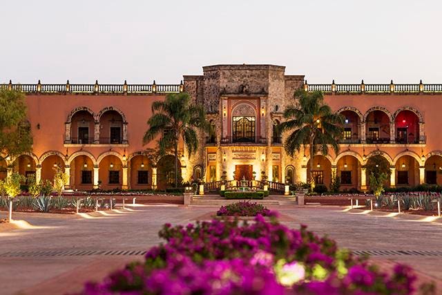 Patron Tequila Bottle