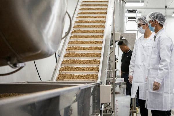 Pearl Milk Tea industry insight