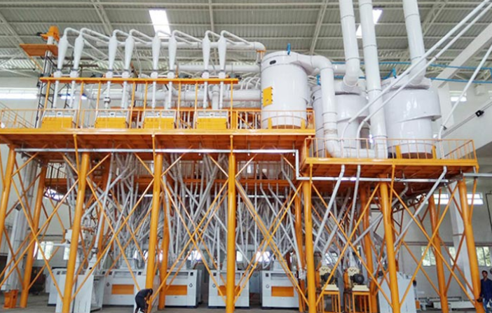 Pearl Wheat industry insight