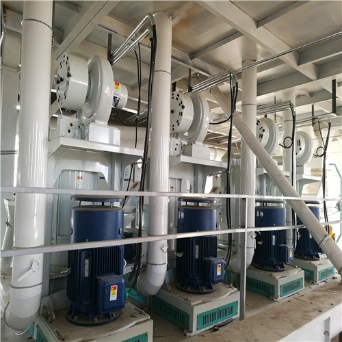 Pearl Wheat industry insight