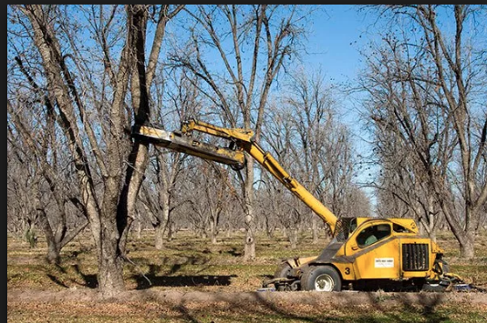Pecan Tree Shaker industry insight