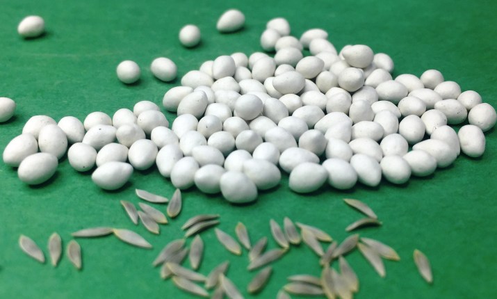 Pelleted Lettuce Seeds industry insight