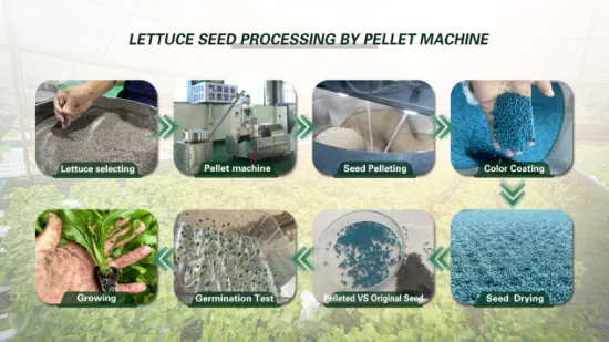 Pelleted Lettuce Seeds industry insight