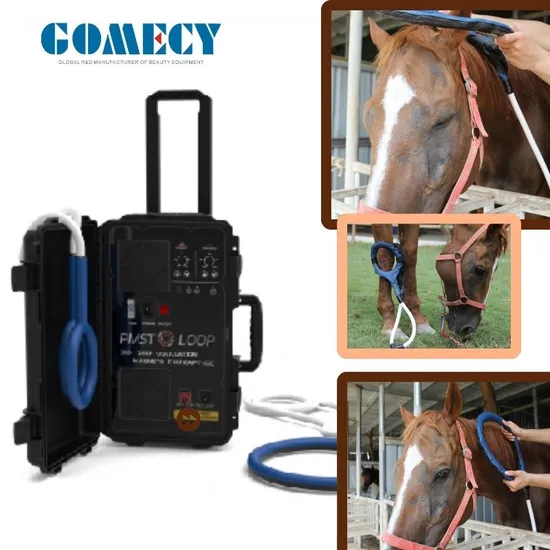 Pemf Machine For Horses industry insight