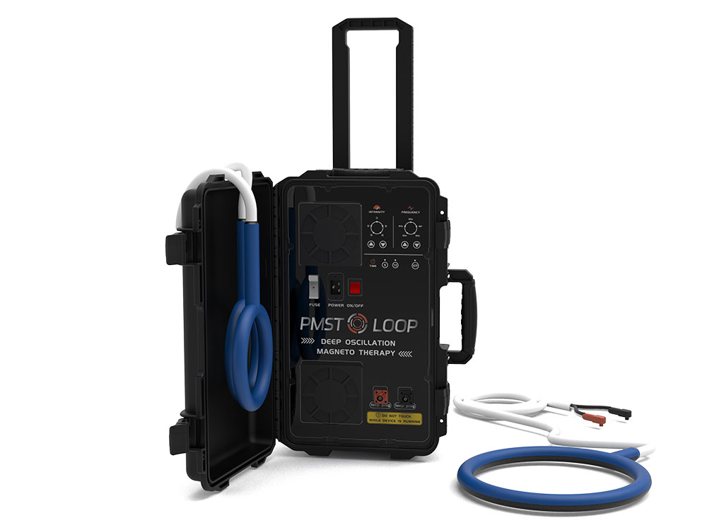 Pemf Machine For Horses industry insight