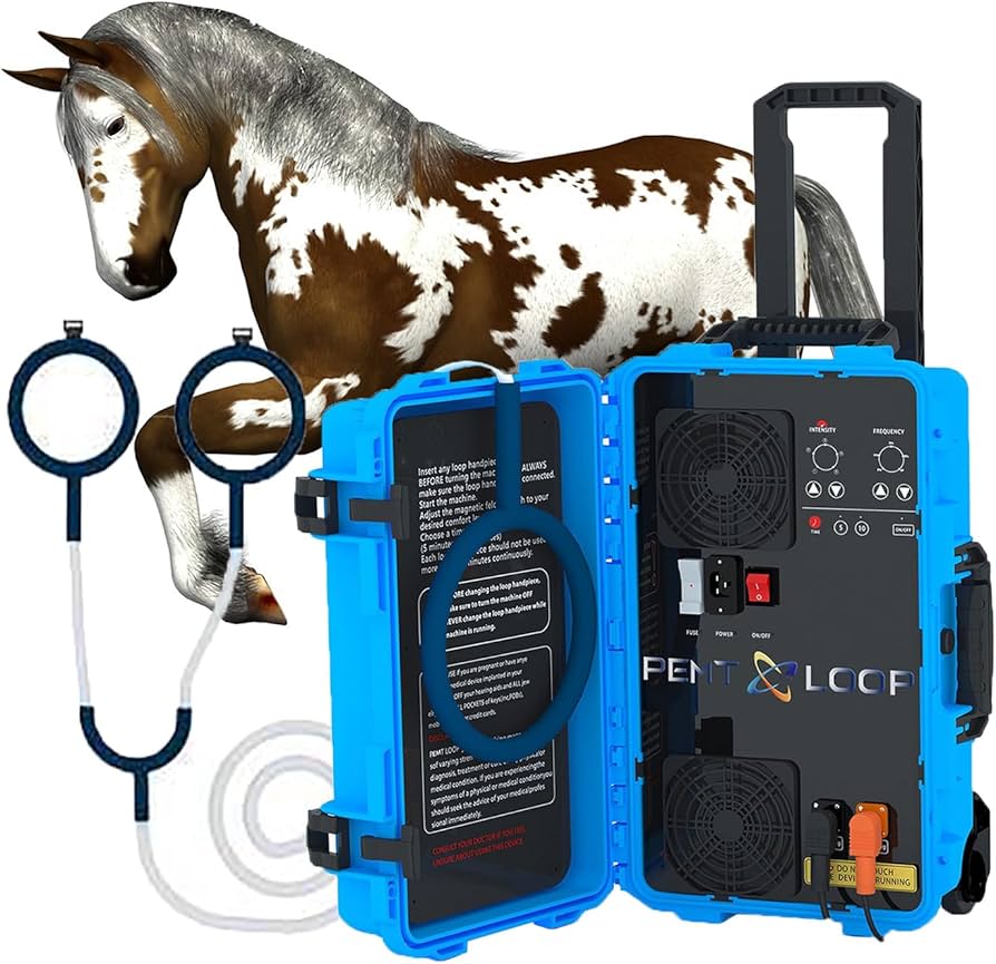 PEMF Therapy for Horses