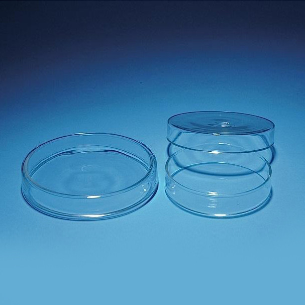 Petri Dishes