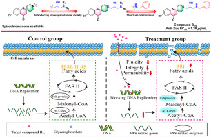 Piperidin 4 One industry insight