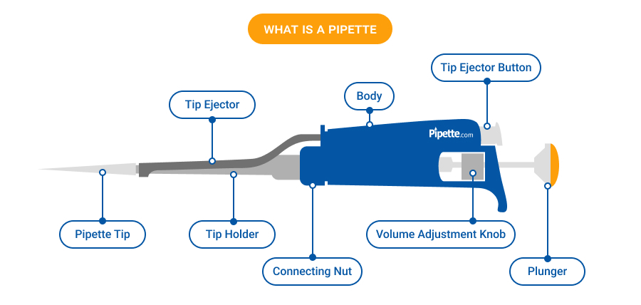 Pipette.com – your go