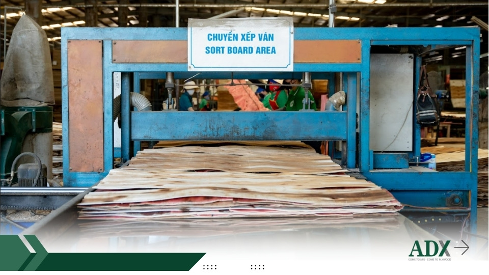 Plywood Distributors industry insight