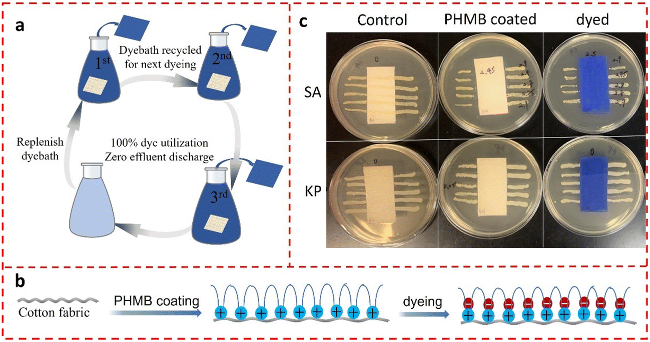 Polyhexanide Phmb industry insight
