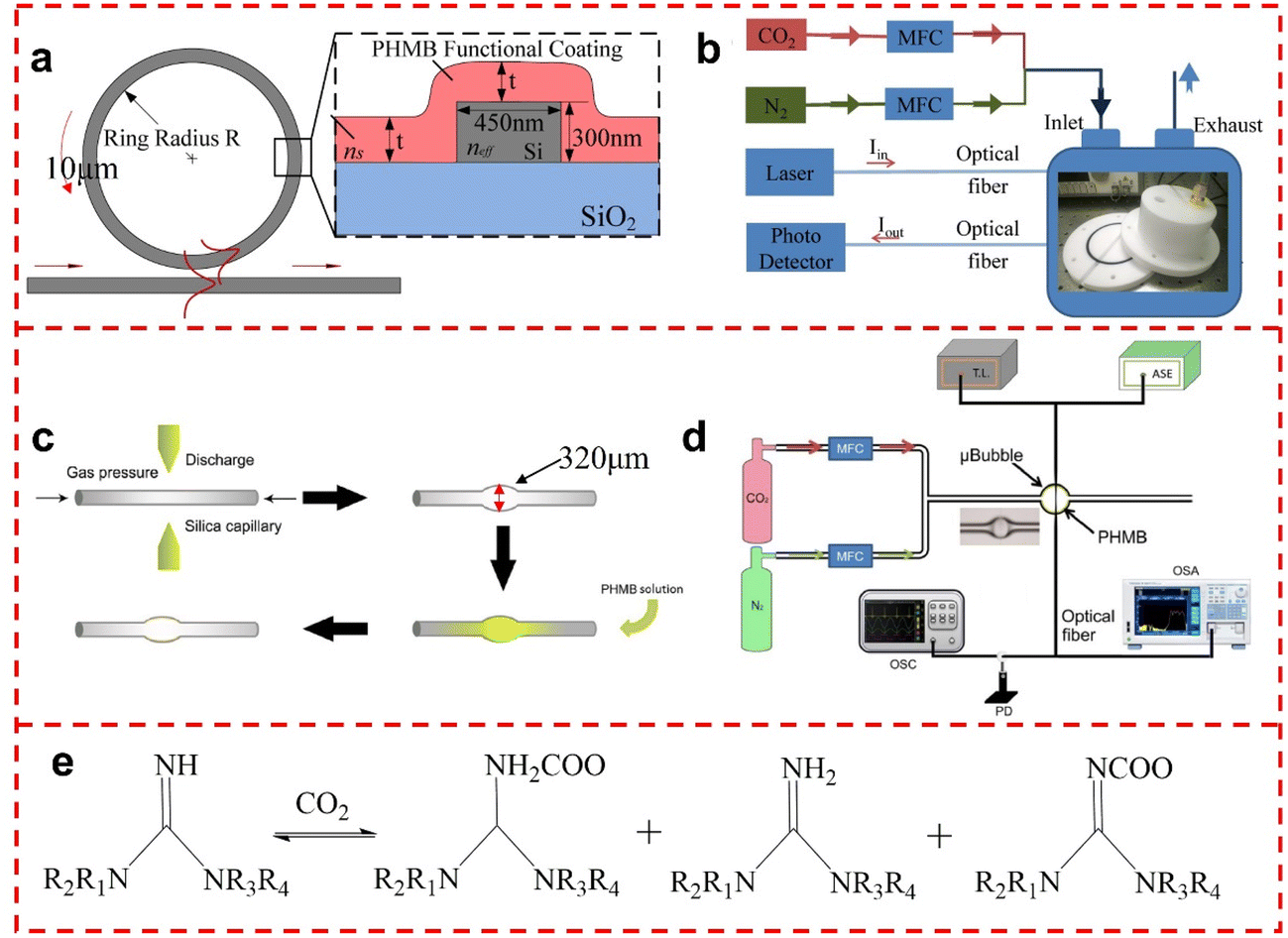 Polyhexanide Phmb industry insight
