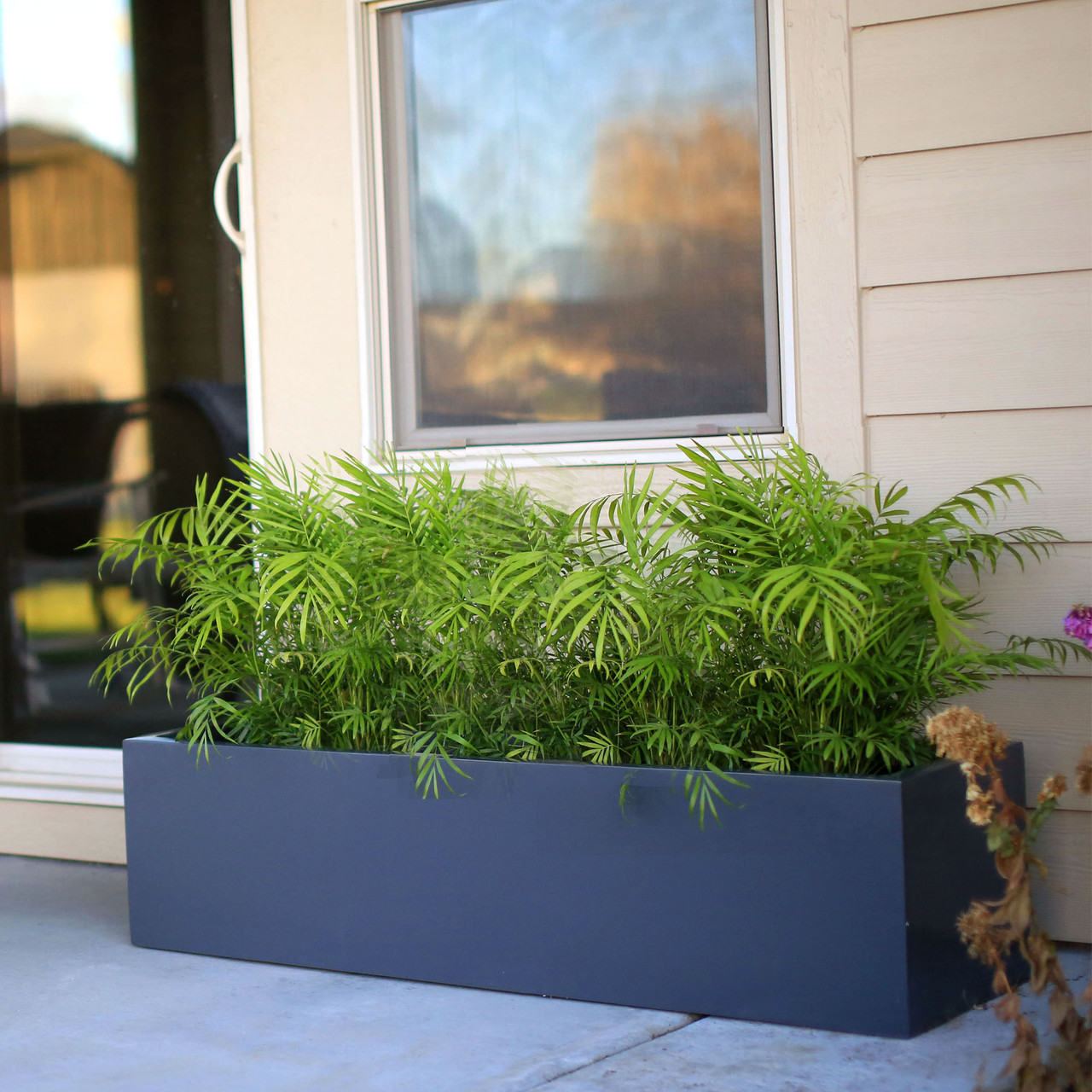 Pots Planters & More
