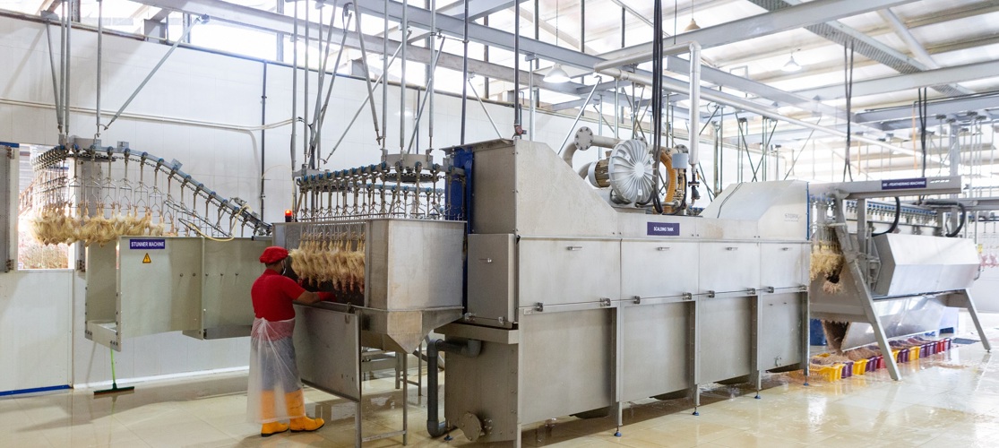 Poultry Heater Water industry insight