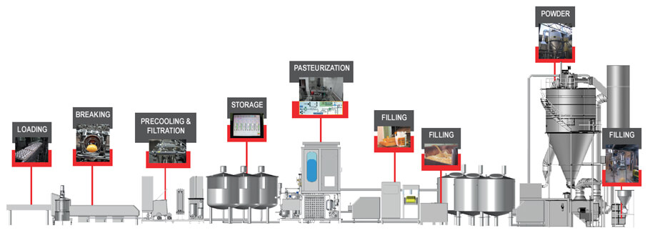 Powdered Whole Eggs Bulk industry insight