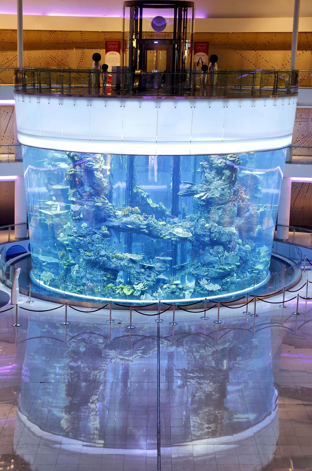 Premier Acrylic Aquarium Manufacturer