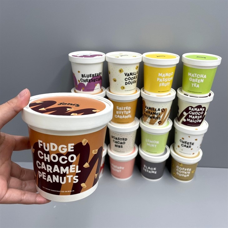 Premium Ice Cream Products