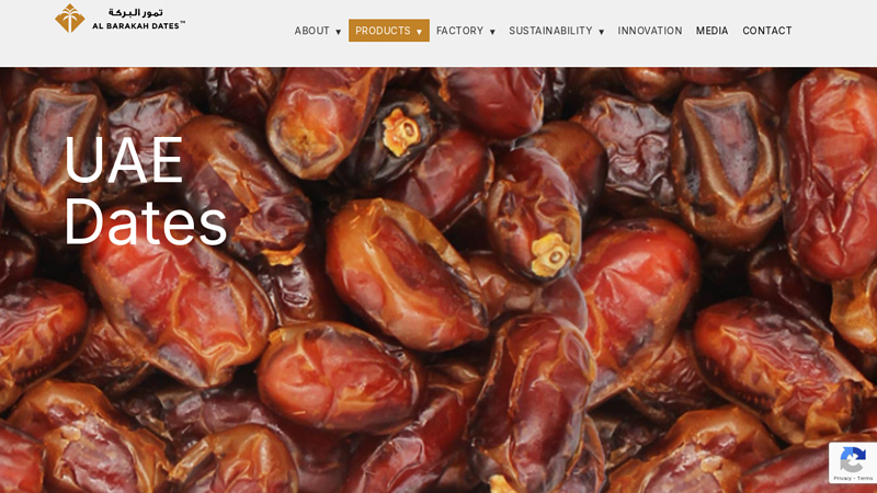 Premium UAE Date Varieties