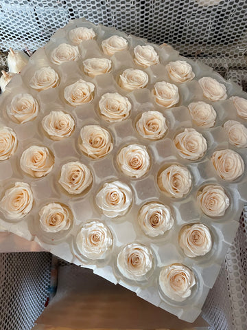 Preserved Roses Wholesale industry insight
