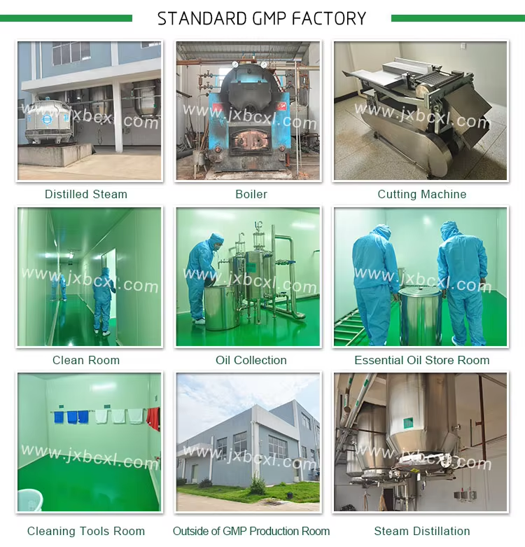 Prickly Ash Powder industry insight