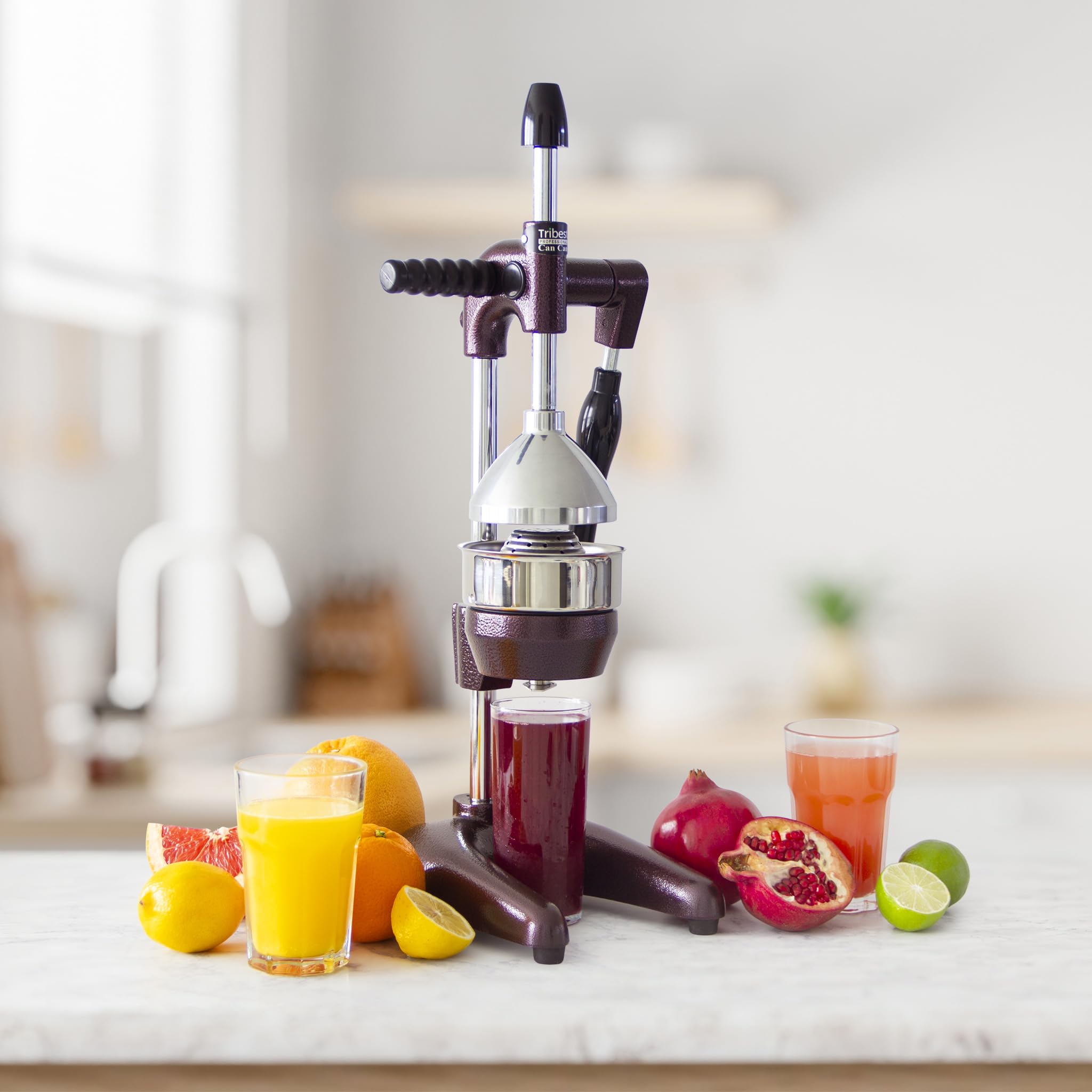 Professional Pomegranate Juicer