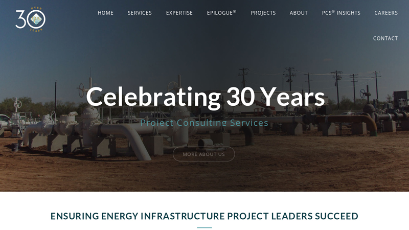 Project Consulting Services