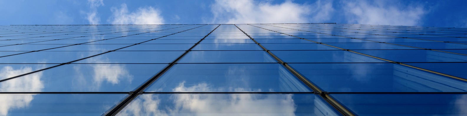 Project Management Consultants LLC