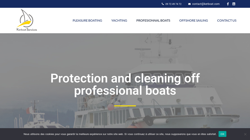 Protection and cleaning of professional boats