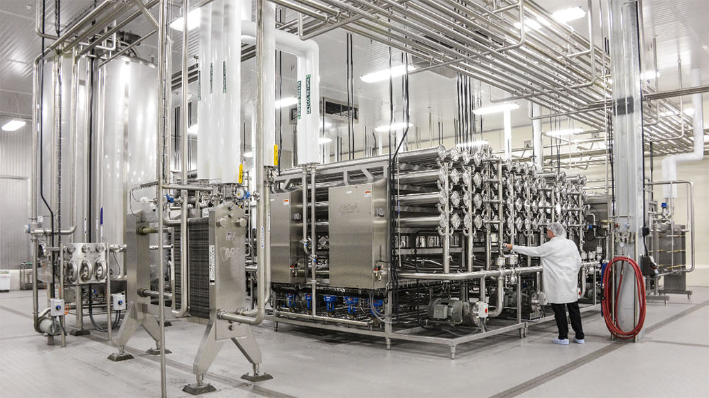 Protein Powder industry insight