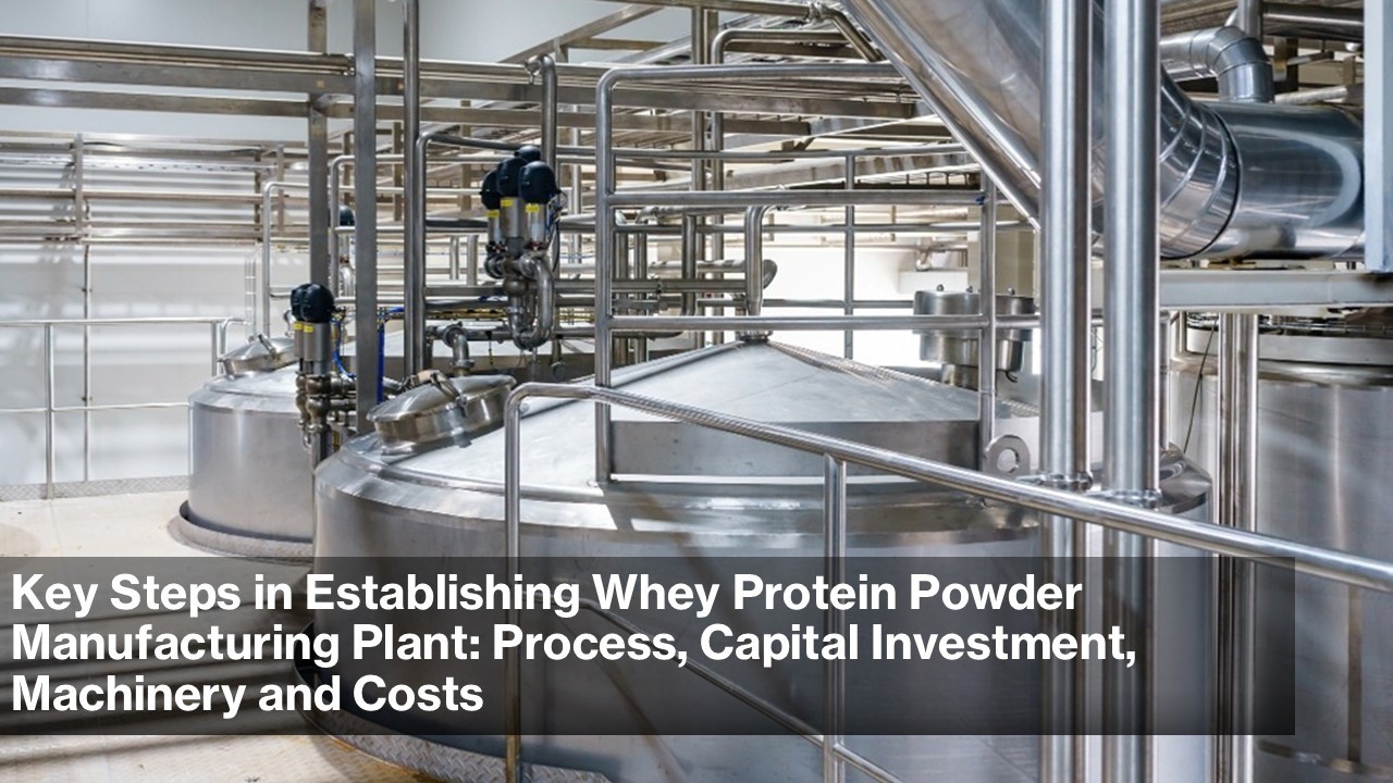 Protein Powder Wholesale industry insight
