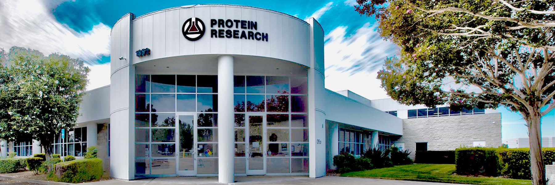 Protein Research